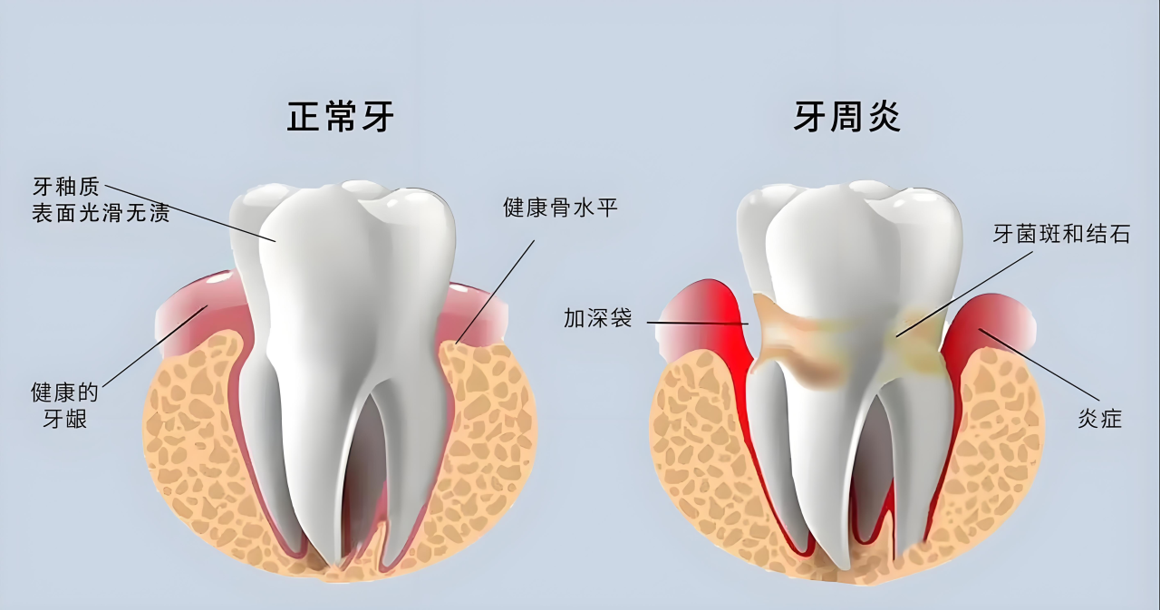 微信圖片_20250425142814.png